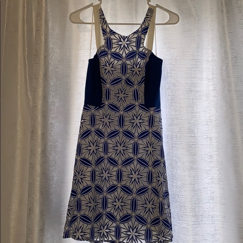 Blue & White Dress